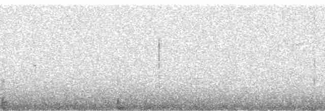 Carpintero de Gila - ML53214