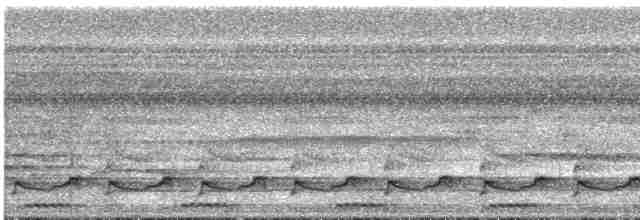 Лінивка-чорнопер червонодзьоба - ML532166701
