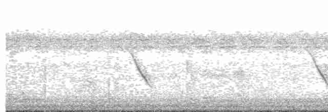 Passeriformes sp. (Old World warbler sp.) - ML532223891