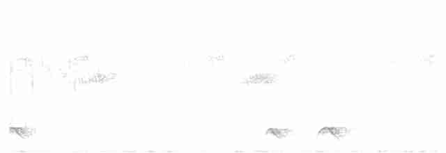 Freckled Nightjar - ML532245361