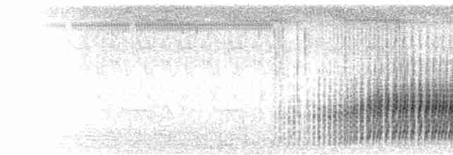  - Red-and-white Spinetail