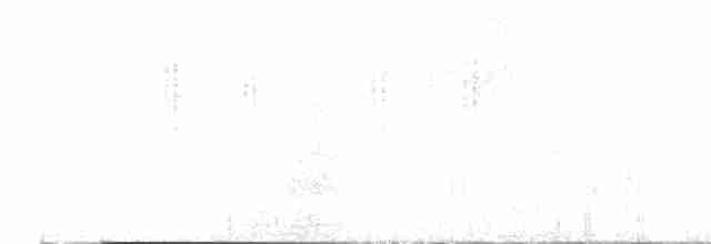 Широкохвістка гімалайська - ML532296351
