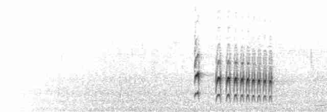  - Dark-breasted Spinetail