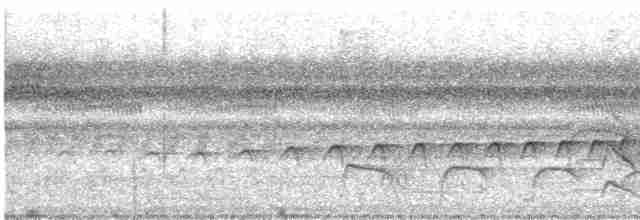 Südamazonien-Ameisenschnäpper - ML532352941