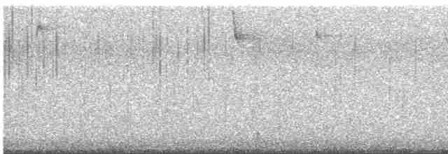 Kuzey Amerika Kara Ağaçkakanı - ML532369191