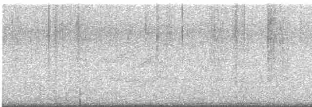 Pileated Woodpecker - ML532369221