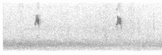Bisbita Alpino (coutellii) - ML532416521