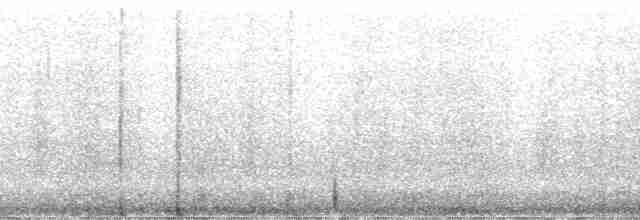 Atmaca Baykuşu (caparoch) - ML53242