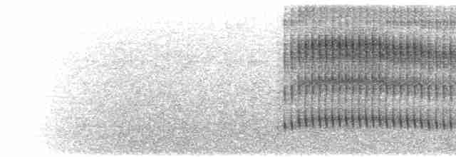  - Drab-breasted Pygmy-Tyrant