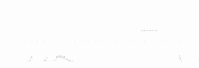 Rufous Nightjar - ML532465301