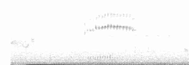 Streifenschwirl - ML532513631
