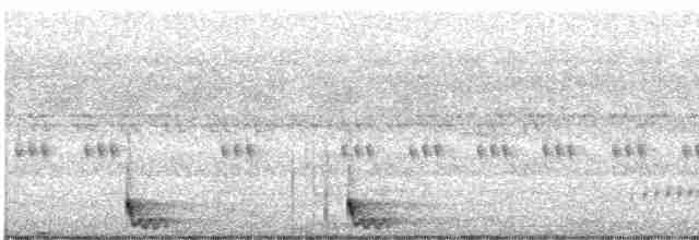 Langschwanz-Nachtschwalbe - ML532546821
