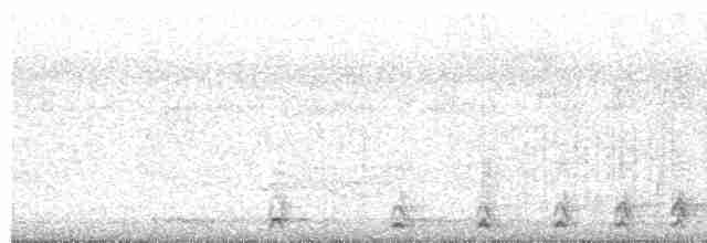 Malabar Gray Hornbill - ML532583731