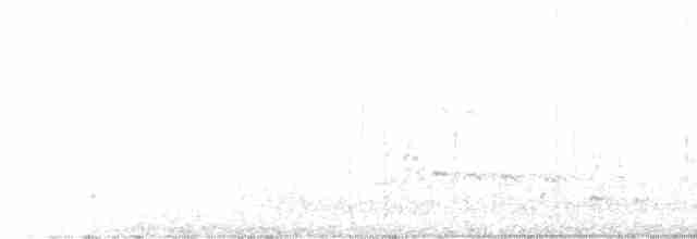 hvithodehavørn - ML532672541