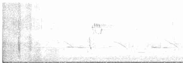 Loggerhead Shrike - ML532721401