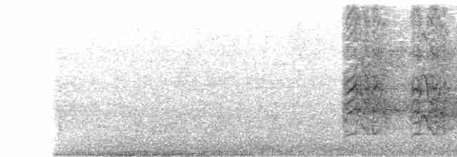 Aratinga Ojiblanca - ML532769241