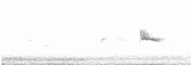 Graumantel-Brillenvogel - ML532776541