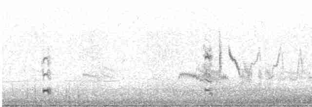 チュウシャクシギ（phaeopus） - ML532791511
