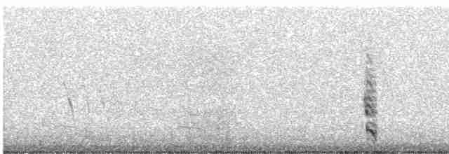 חרמשון קטן (אירופי) - ML532792421