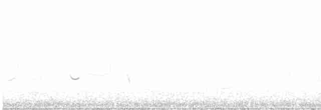 ארנריה אדמונית - ML532792491