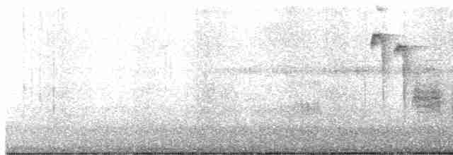 Black-capped Chickadee - ML532813701