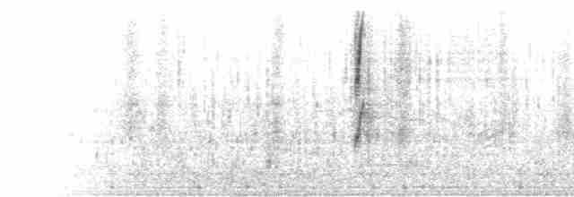  - South Georgia Pipit