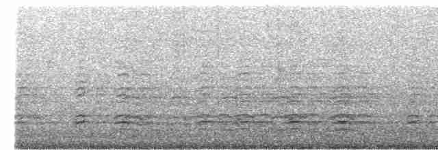 Oriyental Deniz Kartalı - ML532883051
