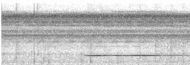 Variegated Tinamou - ML532941041