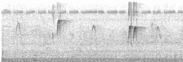 Spotted Tody-Flycatcher - ML532961781