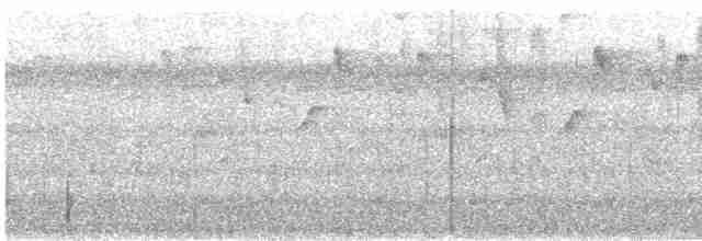 Conirostre marguerite - ML532981521