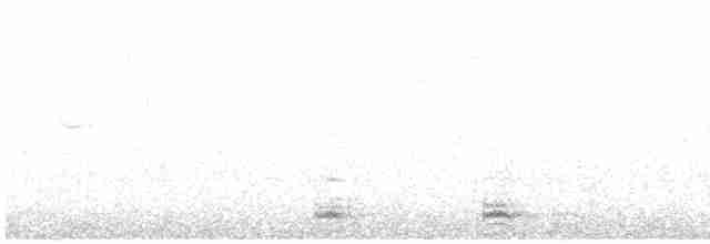 Cuervo Grande - ML533004901