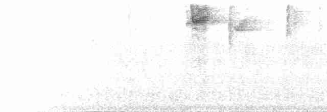  - Gray-capped Hemispingus