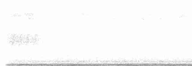 Pine Warbler - ML533051931