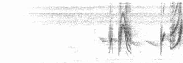  - Silver-beaked Tanager