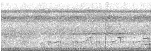 Лінивка плямистогруда - ML533178601