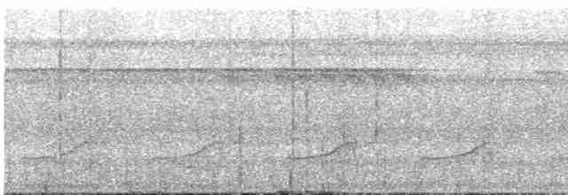 Лінивка плямистогруда - ML533187921