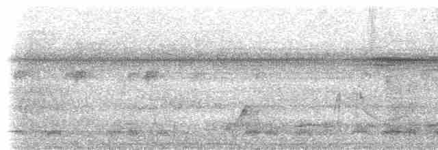 Kara Sırtlı Todi Sinekkapanı - ML533235091
