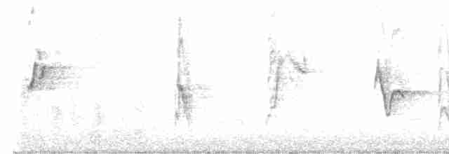 Белобрюхая нектарница - ML533283011