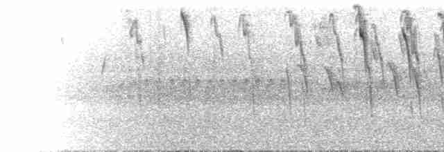  - Black-backed Bush Tanager