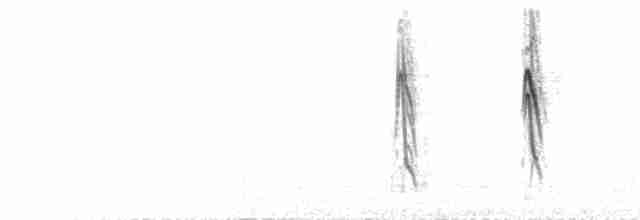  - Red-backed Sierra Finch