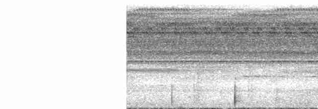 Variegated Tinamou - ML533323841