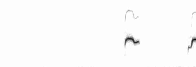  - White-bridled Finch (Fuegian)