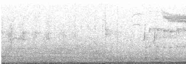 rorýs bělohrdlý - ML533375281
