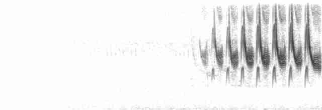  - Stripe-tailed Yellow-Finch