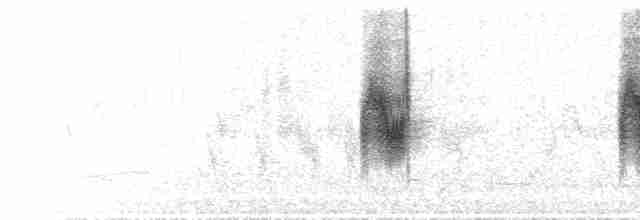  - Parrot-billed Seedeater