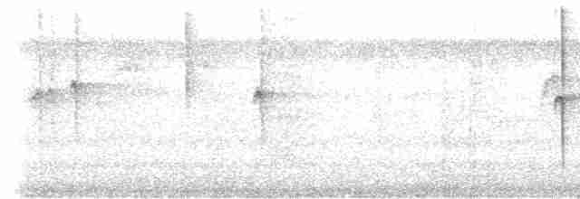 Beyaz Yakalı Kolibri - ML533455361