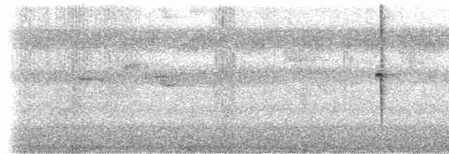 Колібрі-лісовичок буроголовий - ML533457061