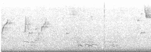 אווז לבן-מצח - ML533462811