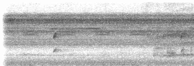 Дереволаз світлодзьобий (підвид devillei) - ML533469301