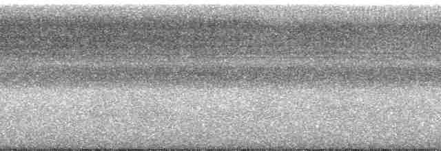 holub safírový - ML53349